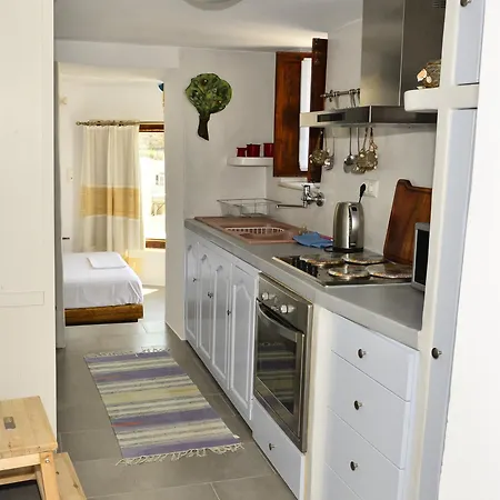 别墅 Naxos Casa Thea Galanado
